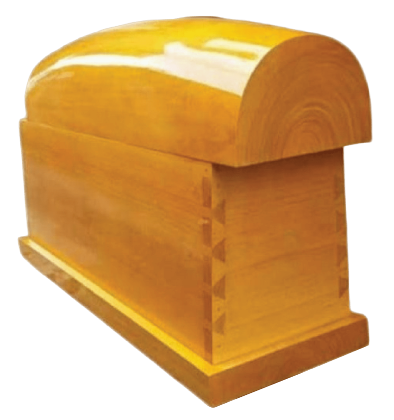 gỗ sao - 220x80x140 (chôn)